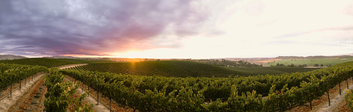 For fifty years and through two generations, the Lohr family and their team have been leaders in the California wine industry. Founder Jerry Lohr and his three children Steve, Cynthia, and Lawrence oversee one of the country’s most successful and trusted fine wine labels. With first plantings in Monterey in 1972 and then in Paso Robles in 1986, the J. Lohr team helped write the book on sustainable winegrowing on the Central Coast. Today, J. Lohr farms more than 4,000 acres of estate vineyards in Monterey’s Arroyo Seco and Santa Lucia Highlands appellations, Paso Robles, and St. Helena in the Napa Valley. J. Lohr Vineyards & Wines produces eight tiers of award-winning releases: J. Lohr Signature Cabernet Sauvignon, J. Lohr Cuvée Series, J. Lohr Vineyard Series, J. Lohr Gesture, J. Lohr Pure Paso® Proprietary Red Wine, J. Lohr Estates, J. Lohr Monterey Roots, and ARIEL Vineyards. J. Lohr was honored with the 2020 Green Medal Leader Award in recognition of the company’s decades-long commitment to sustainability. JLohr.com is the winery’s online home.