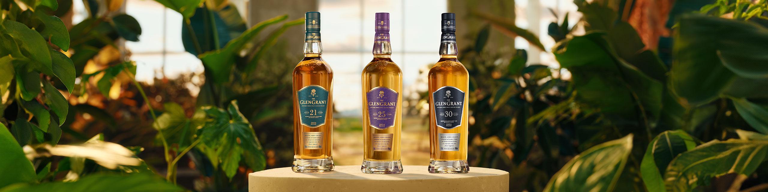 Glen Grant is a genuine Single Malt Scotch Established in 1840. The brand is currently the world's number 5 selling Single Malt Scotch Whisky and is an Italian icon and market leader. Renowned for its clear colour and pure taste, deriving from the purifiers and tall slender stills designed by its inventor James Grant, Glen Grant also distinguishes itself for its quality, authenticity and versatility.

From the moment it was created in 1840, the clean and distinctive taste and pale golden colour of Glen Grant have set it apart from other heavier Single Malt Scotch Whiskies. The vision of one extraordinary individual is what makes Glen Grant clearly different from any other Whisky. James Grant, known simply as "The Major", was only 25 when he set about achieving his vision of a pure Single Malt with a clear colour. A legendary socialiser and innovator, he was a modern man born before his time. Buy Glen Grant online from nearby liquor stores via Minibar Delivery. 