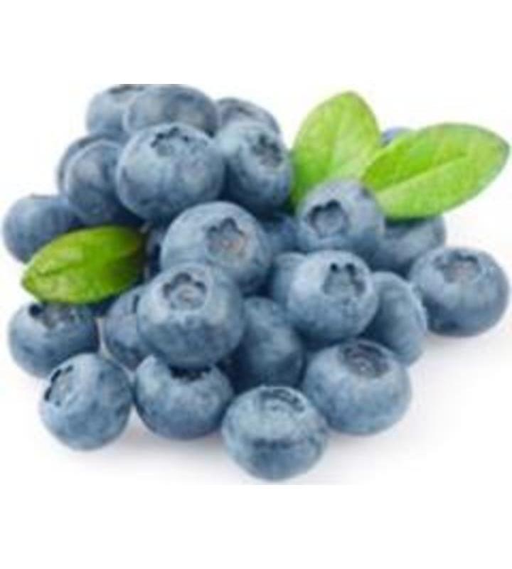 Fresh Blueberries