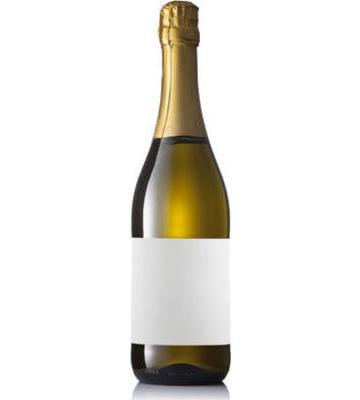 Plastic Champagne Glasses