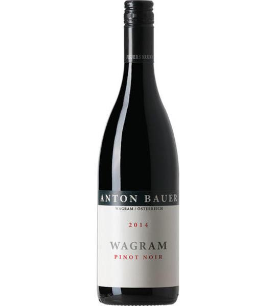 Anton Bauer Wagram Pinot Noir