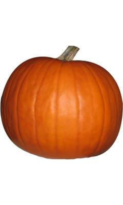 image-Halloween Pumpkin