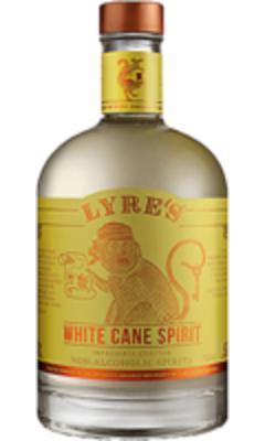 image-Lyre's White Cane Spirit